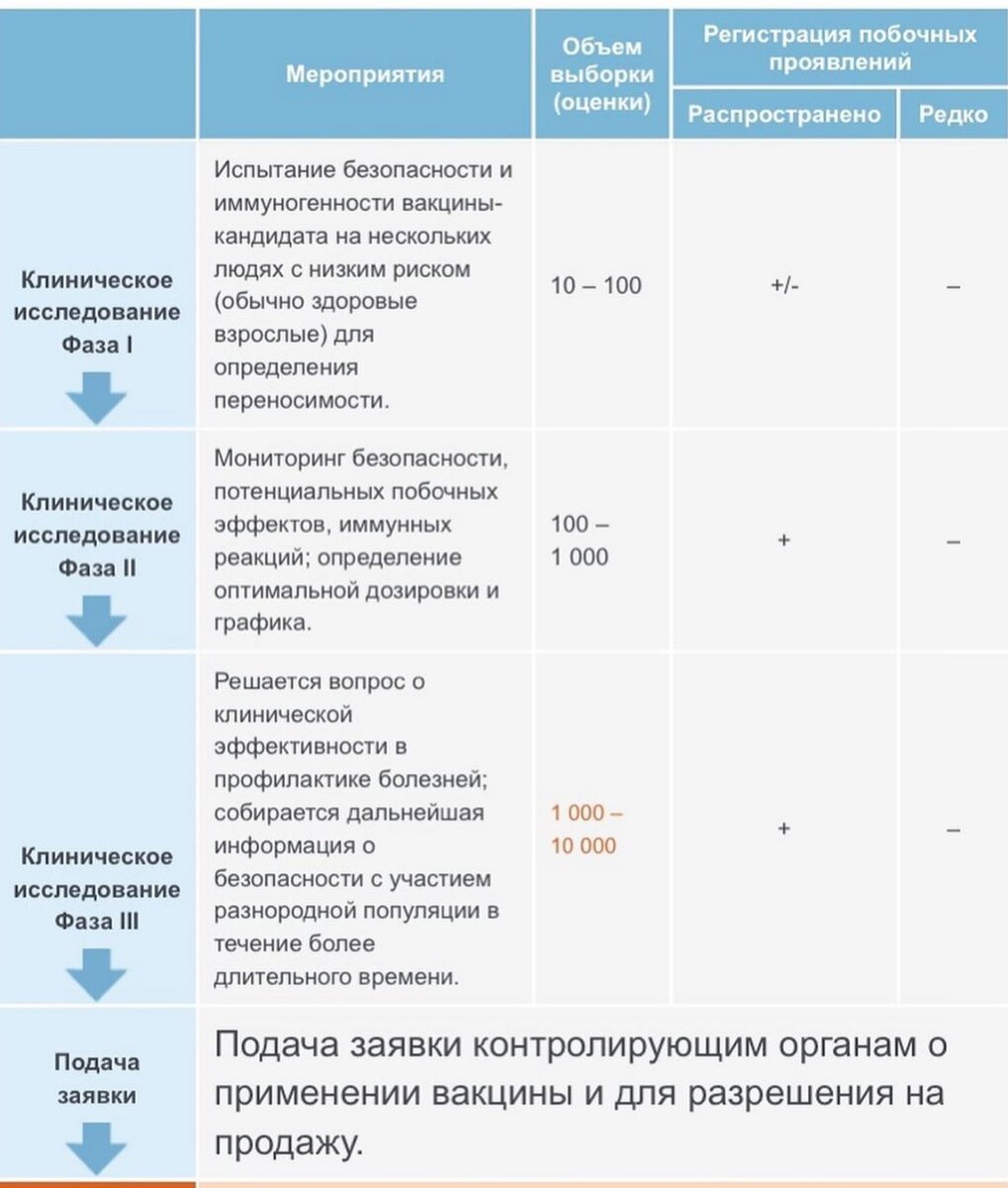 Фазы клинических испытаний, после которых вакцина становится доступной