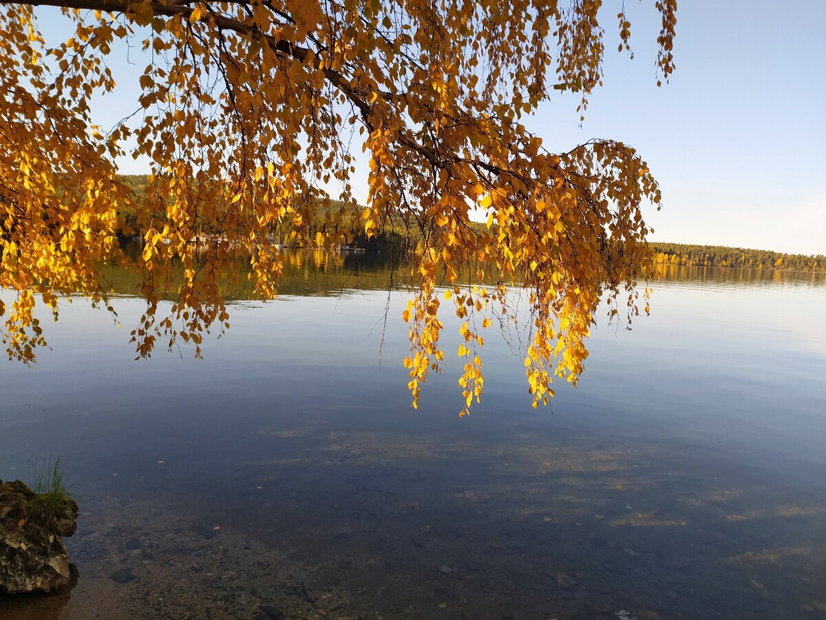 Осень-самое красивое время года