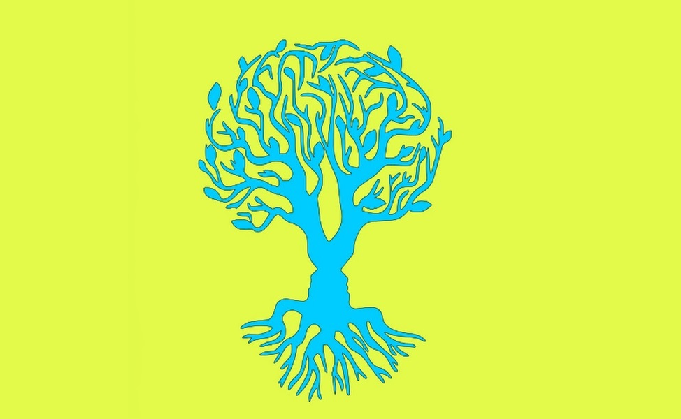 Что вы видите на рисунке?