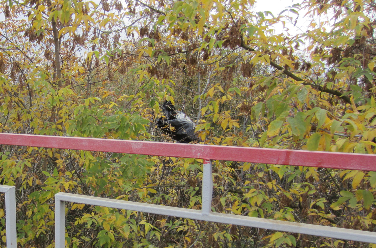 Чуть ближе. А мешочек ведь не маленький!