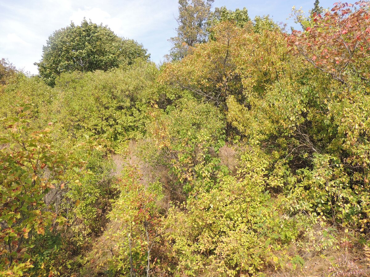 На этом месте располагался барский дом.