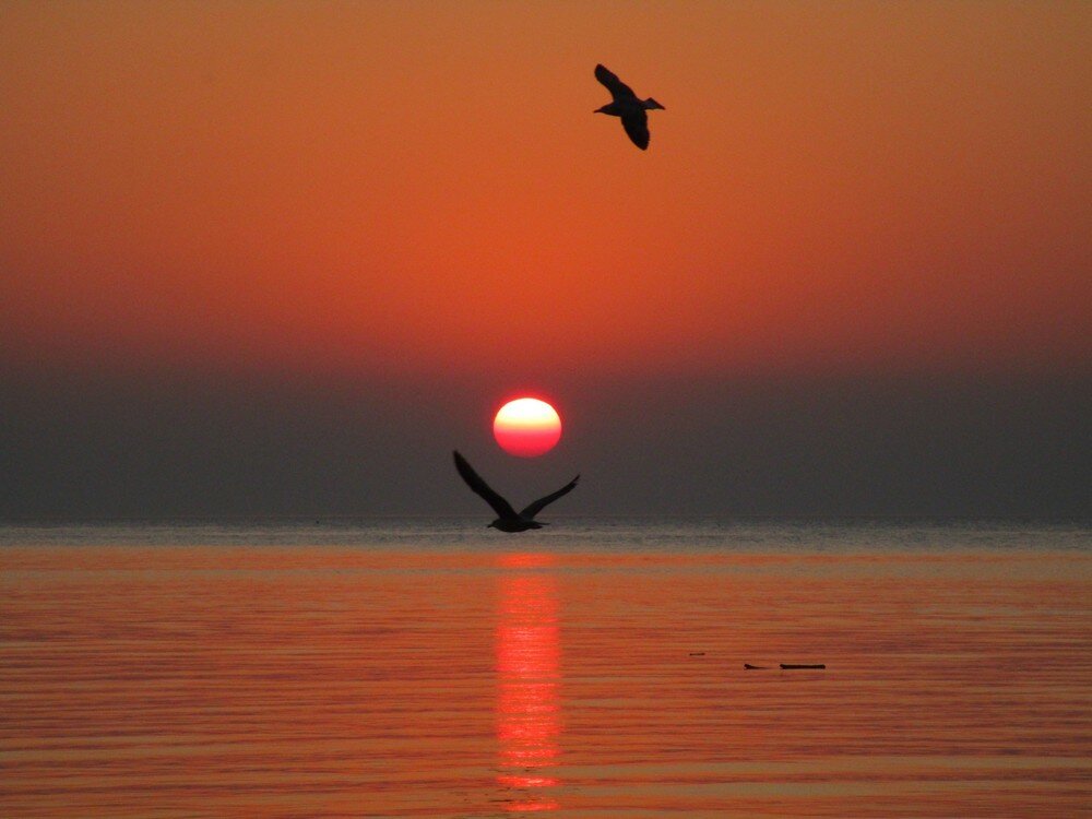 Автор: Каро Анэ