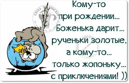 Фото из свободного доступа