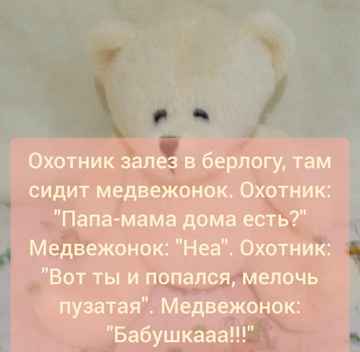 Цель этой картинки - коротко выразить общий смысл сегодняшней заметки. А на фото - медвежонок, которого мне подарил муж на НГ, когда мы только начали встречаться. Зверушка выстирана в детском порошке и мечтает, чтобы Настя не откусила ей нос.