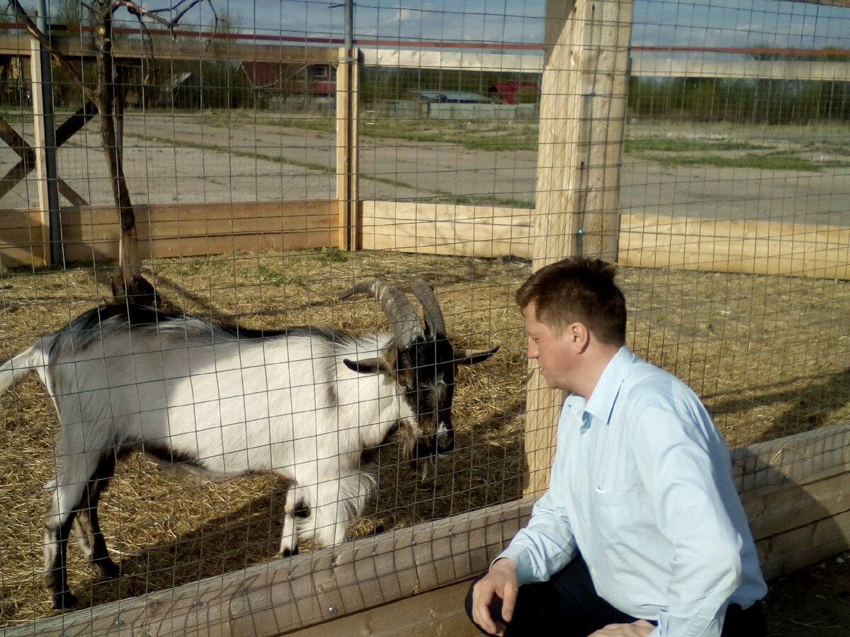 Жил был у бабушки серенький козлик :)