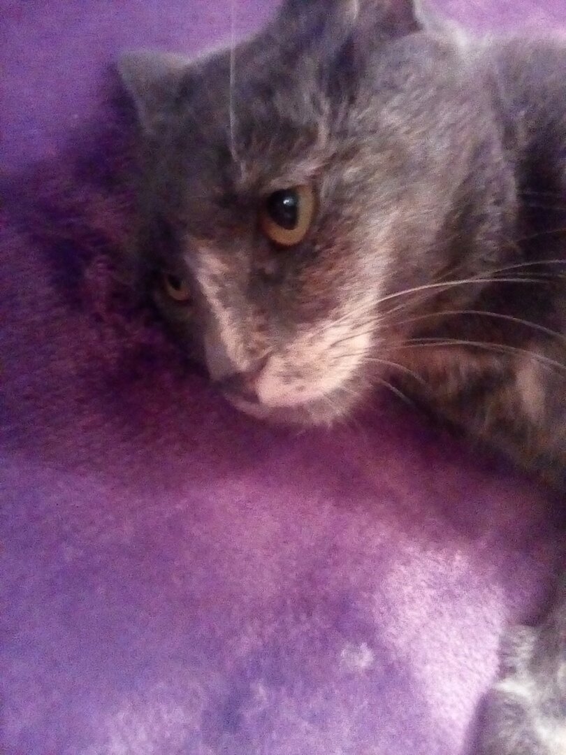 А у вас было такое, что не хотелось вообще ничего делать? И вы не знали, где взять мотивацию?