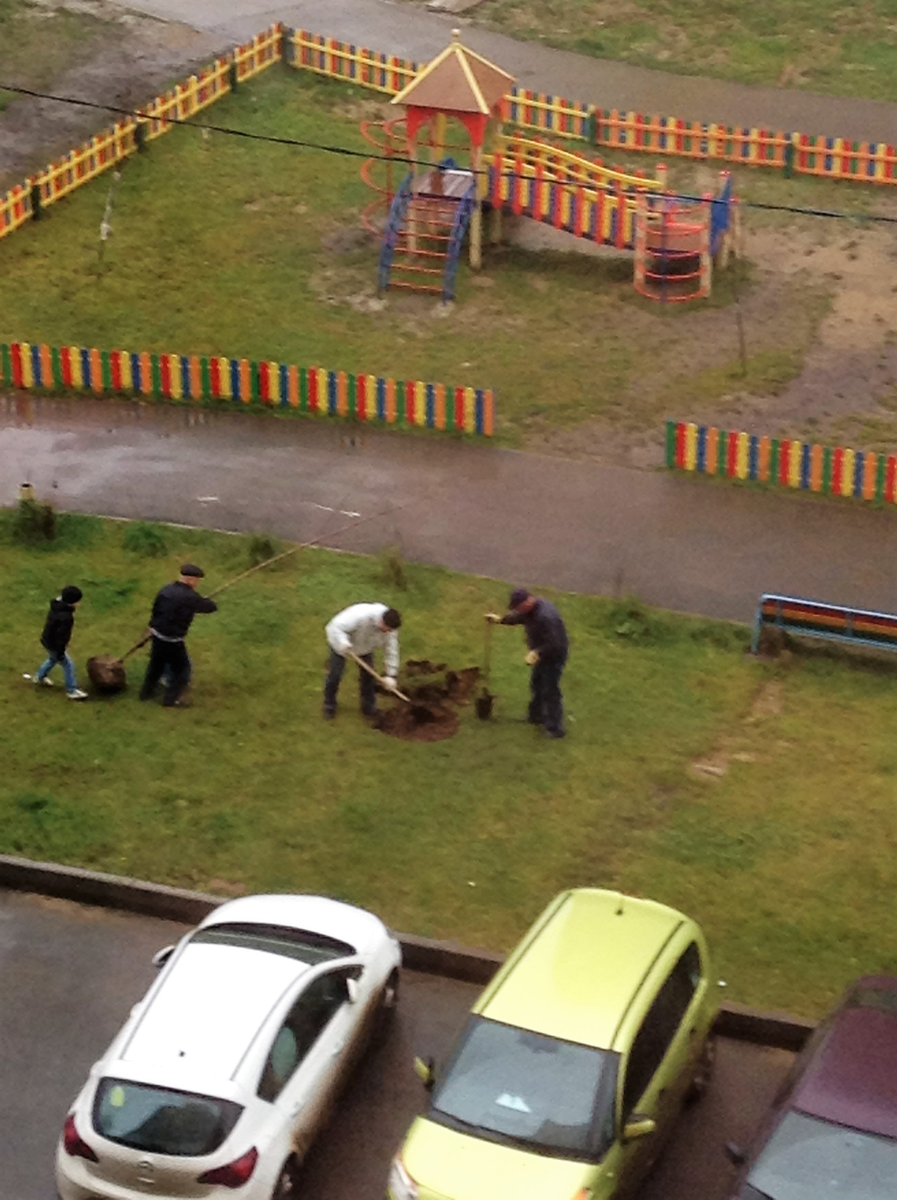 фото Нектар из ромашек