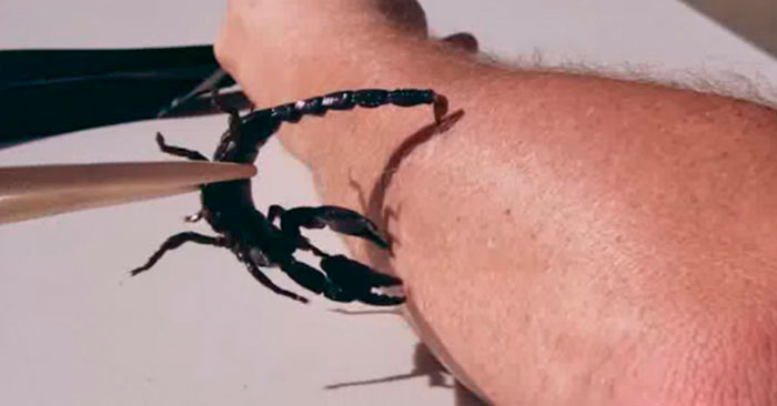 Яндекс картинки