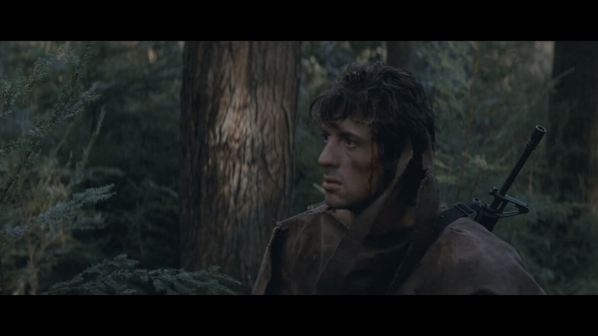 Тот самый момент, когда охотники сами становятся дичью