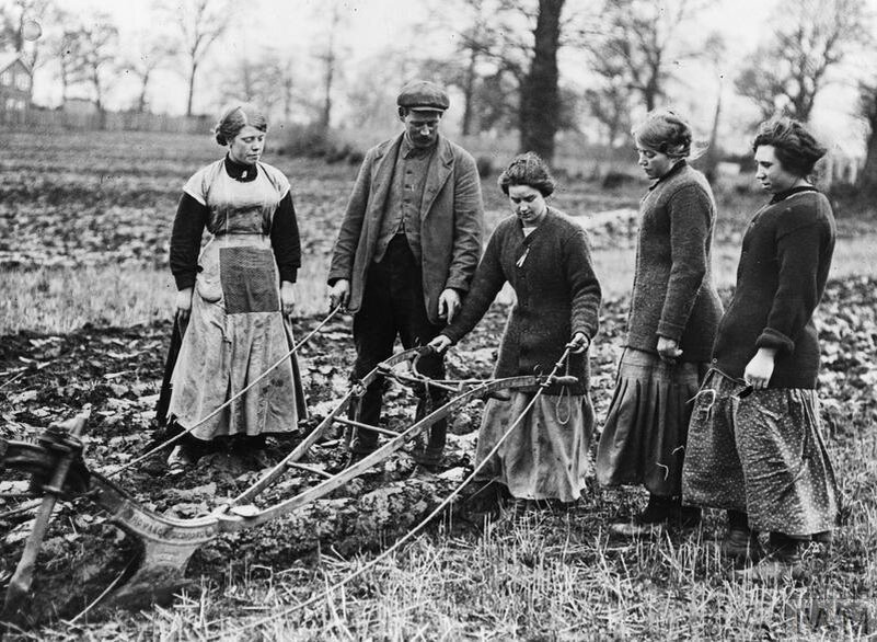 Культура 1914. Тобольская Губерния сельское хозяйство 1914. Сельское хозяйство в России 1914-1916. Германия сельское хозяйство 18 век. Сельское хозяйство Сибири 1914-1918.