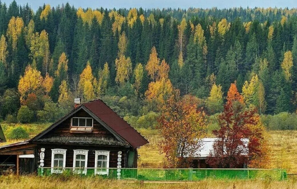 Фото из интернета 