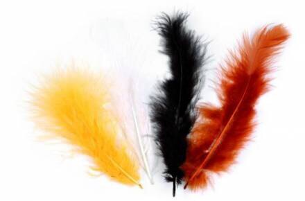 Выберите перо слева направо и узнайте своё истинное предназначение.