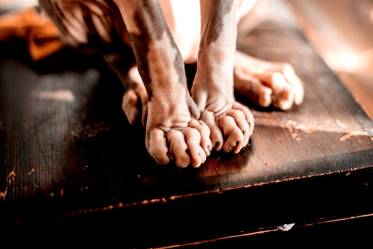 Кошки могут загорать на солнце