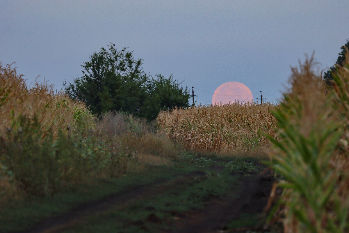 Заход Луны