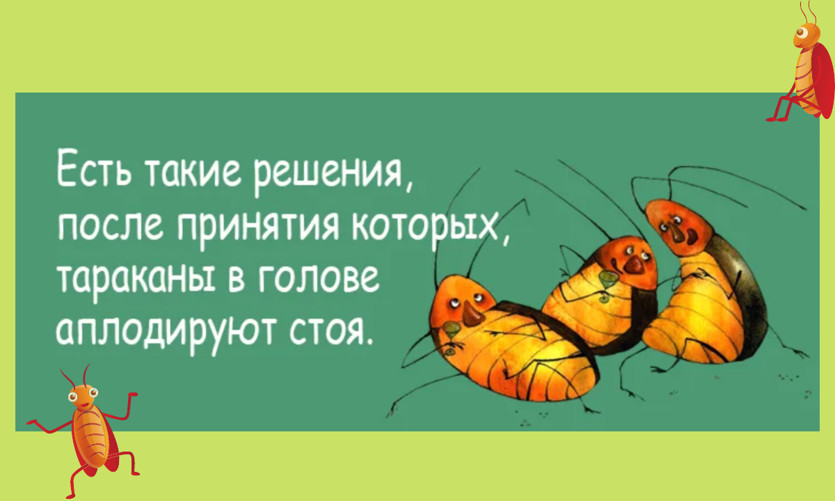 У нас есть голова. Тараканы в голове юмор. Шутки про тараканов в голове. Анекдот тараканы в голове. Тараканы в голове приколы.