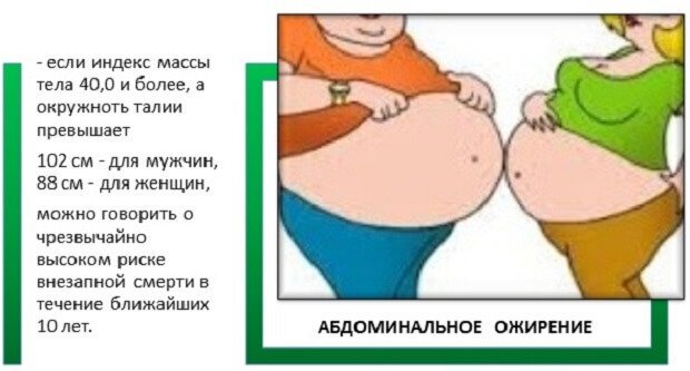 Абдоминальное ожирение. | Надежда Егорычева | Дзен