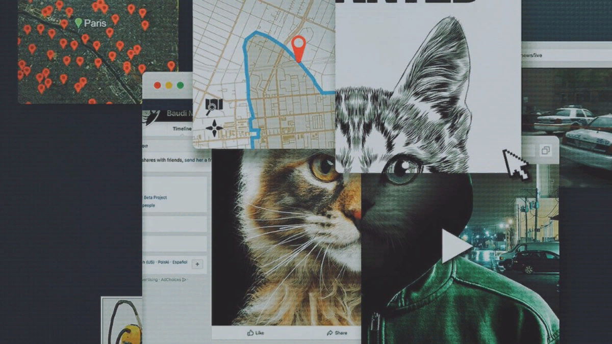 документалка нетфликс. не троньте котиков охота. не троньте котиков охота на интернет-убийцу. охота на интернет убийцу. не троньте котиков охота.