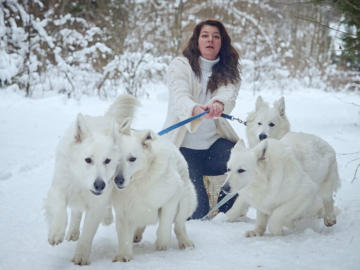 Обожаю этот кадр с фотосъемки на открытку моего питомника. Девки кувыркнули меня знатно :)
