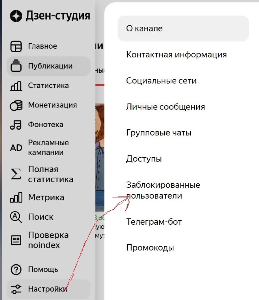 Подвожу итоги работы в Дзене за 11 месяцев. Удивляюсь на число  заблокированных мною. Среднемесячная зарплата 38,6 тыс. рублей | Блогерша с  детьми и кошкой. | Дзен