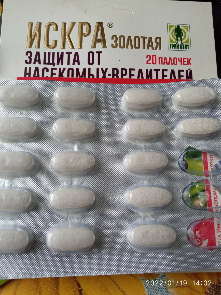 Так выглядят палочки