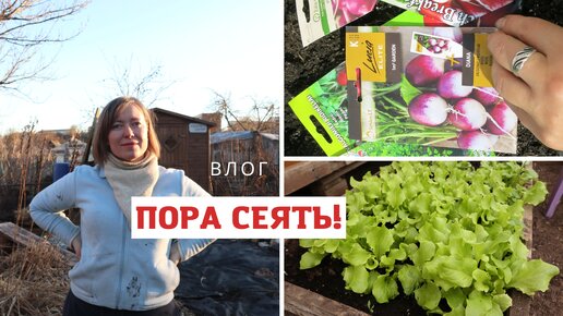 Что посеять в теплицу ранней весной? Подготовка грядок