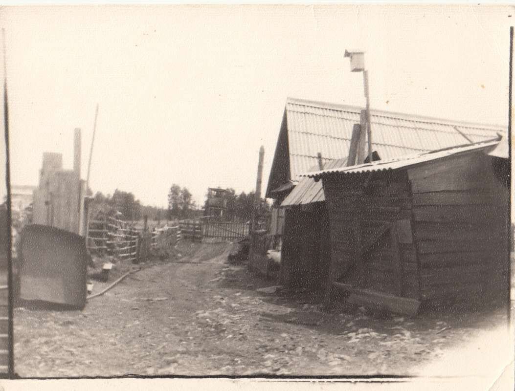 заимка Бродягина Ал-дра Петр. на острове оз. Силач