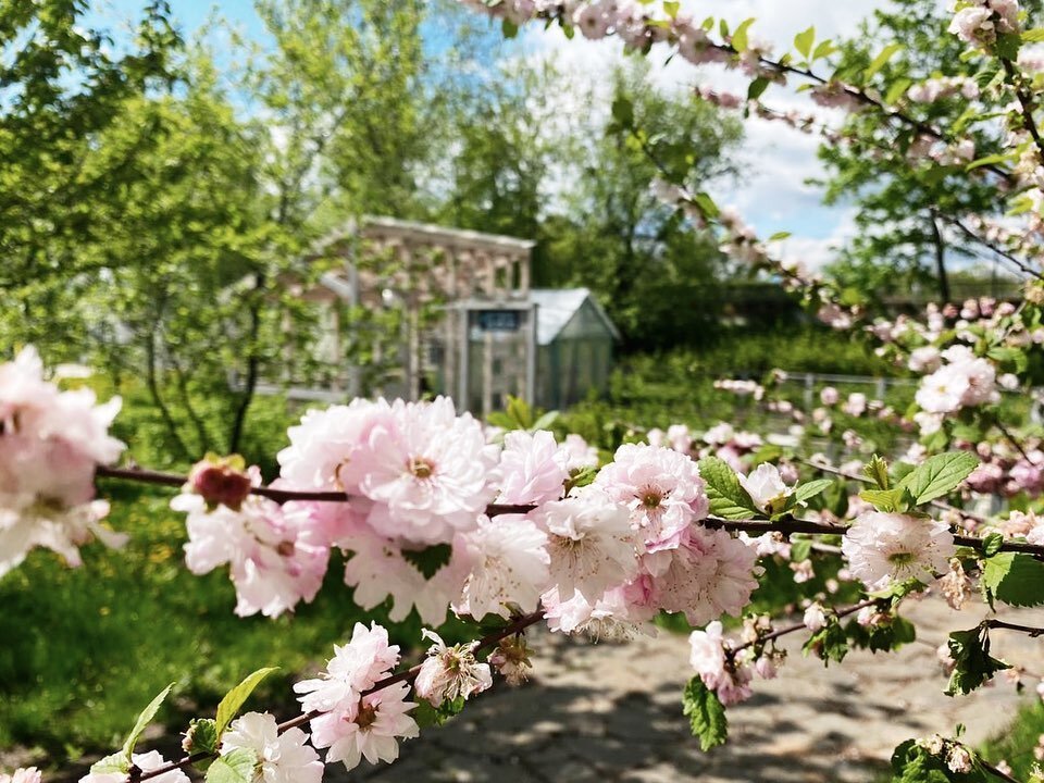 Фотографии: наш личный архив, пресс-служба ВДНХ, бюро Wowhaus