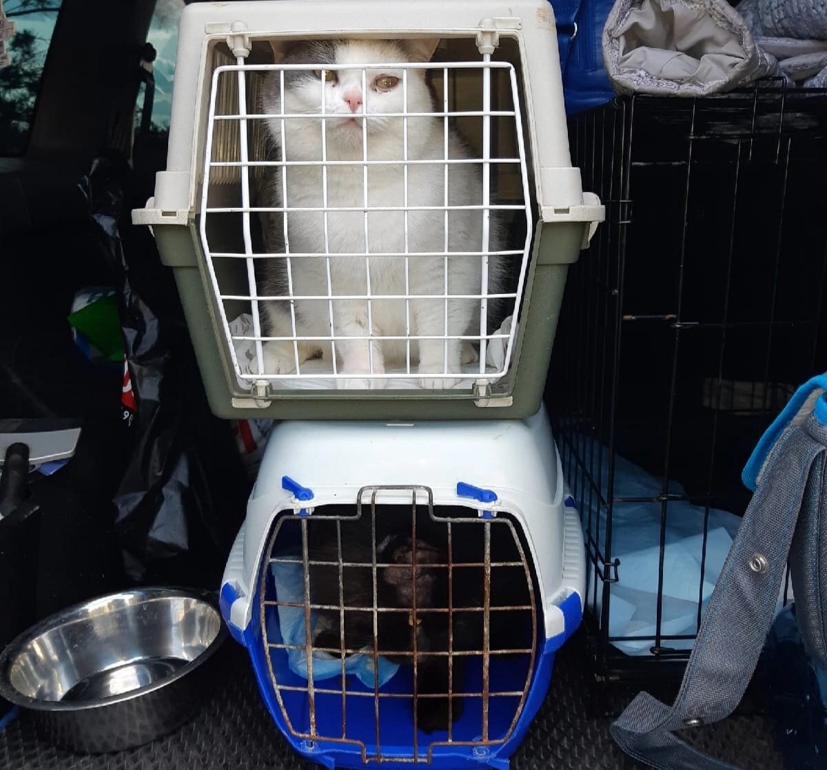 Поездка в Москву