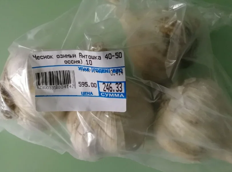 Чеснок Антошка в упаковке 
