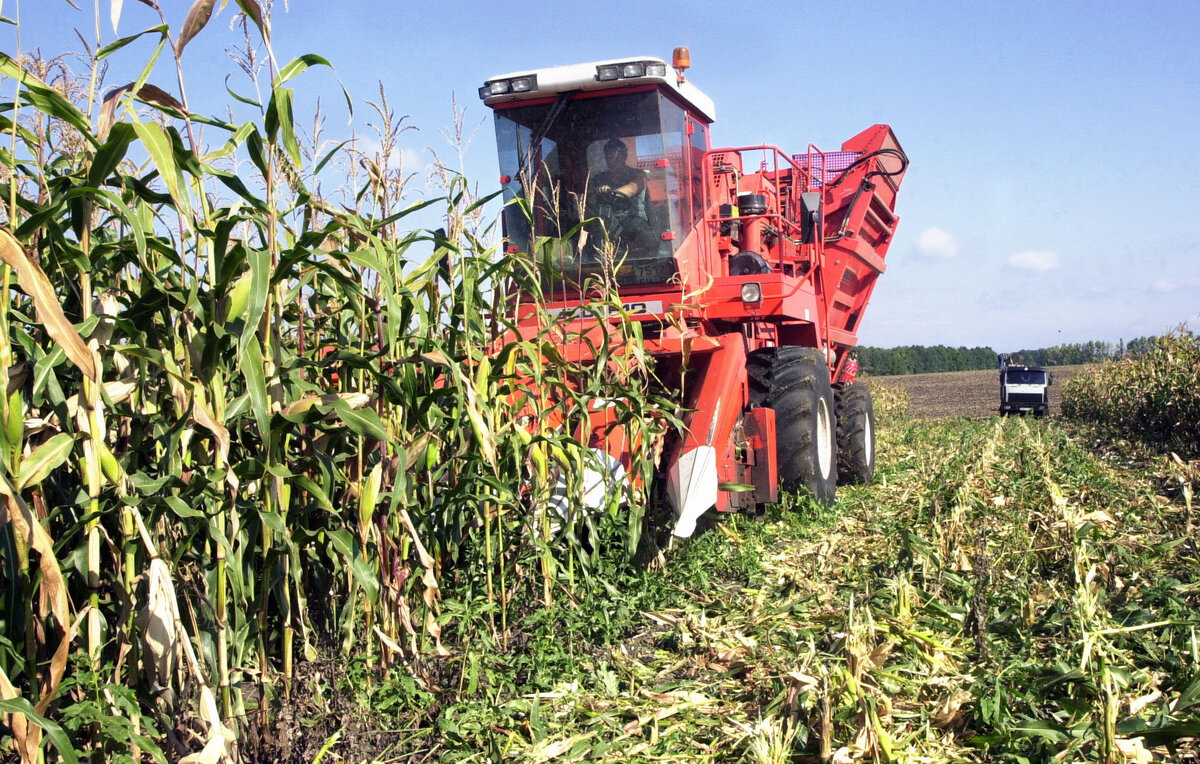 Валерий Морев/ТАСС