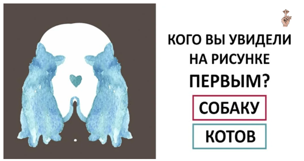 Изображение взято с открытых источников