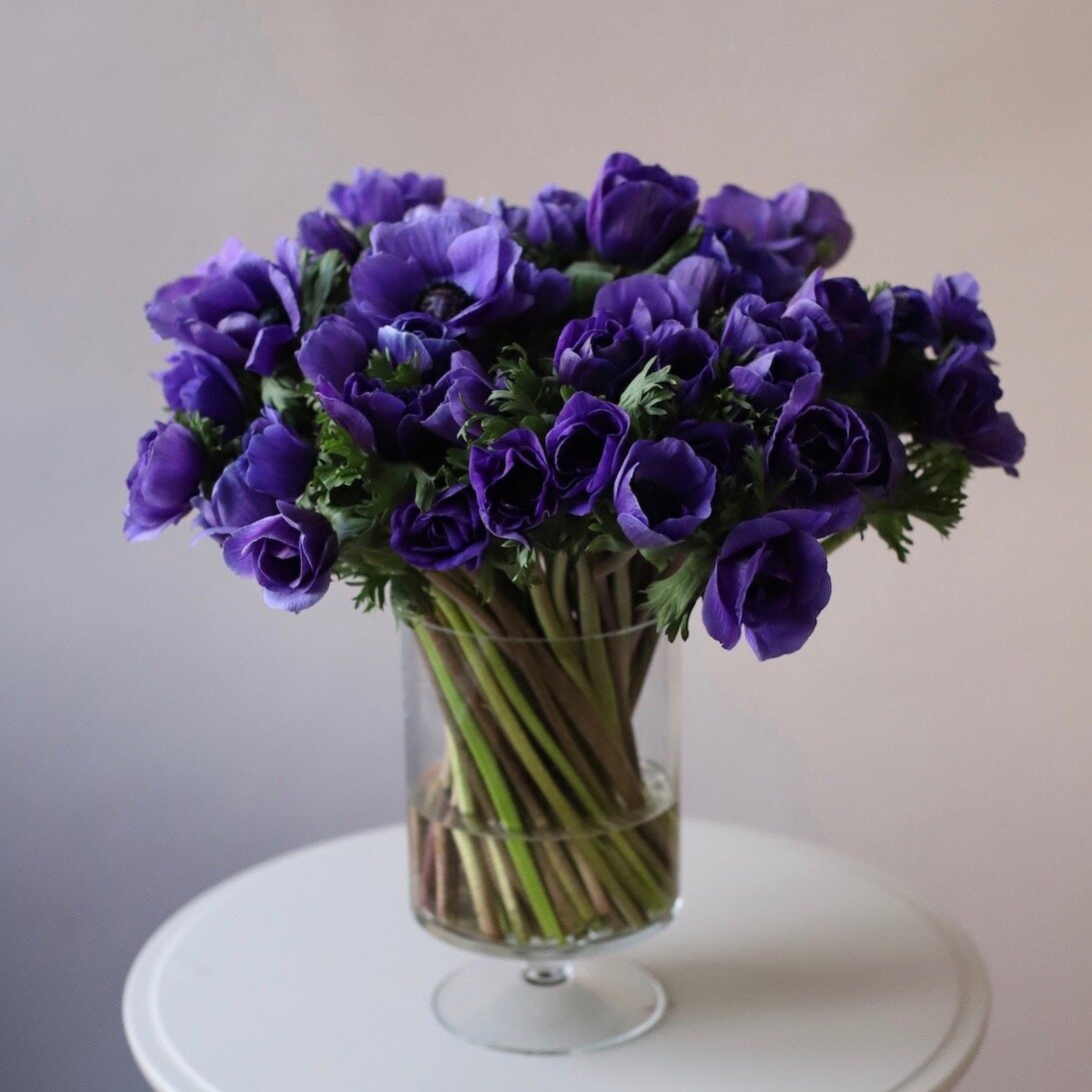 Положение стеблей напоминает трубочки для напитков в стакане 