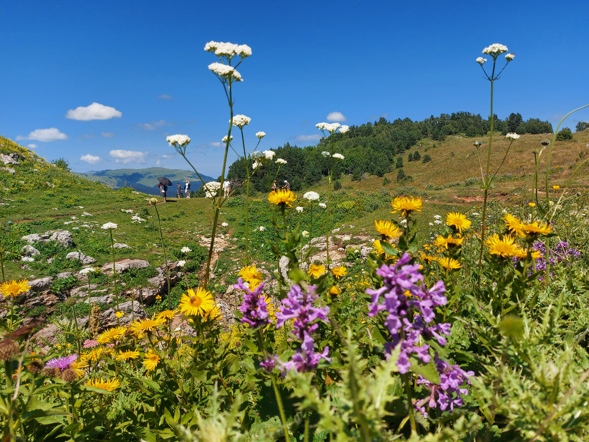 Фото автора.