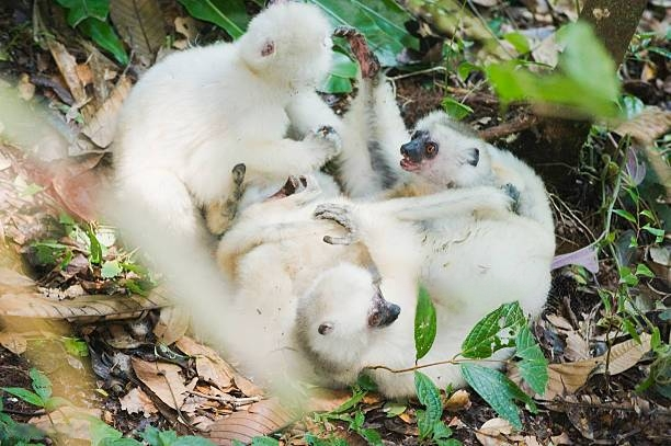 Саня, чё ты как жмот?! Поделись с друзьями чипсами!