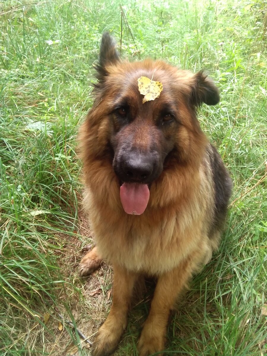 Фото автора.