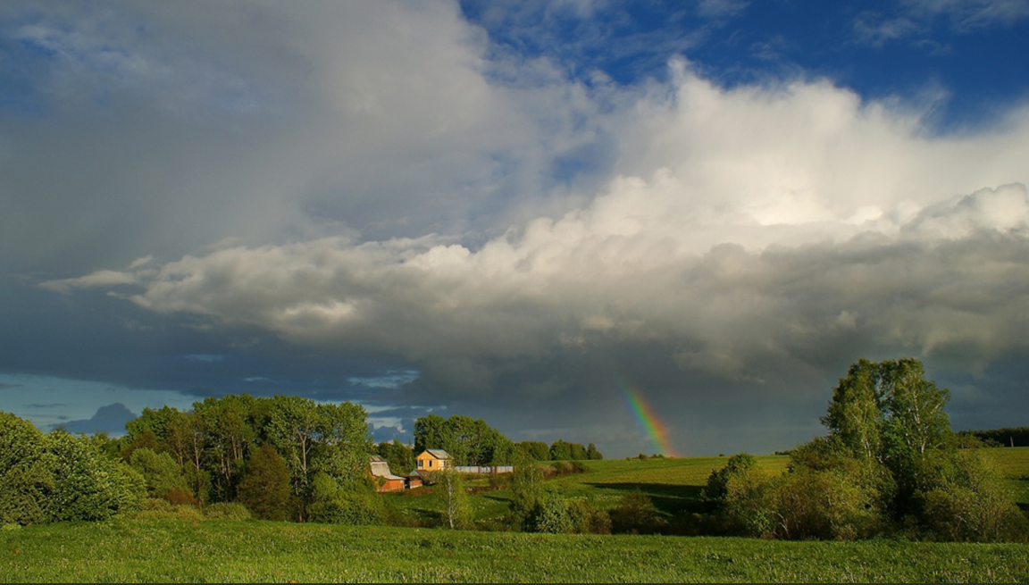 Картинка взята в интернете