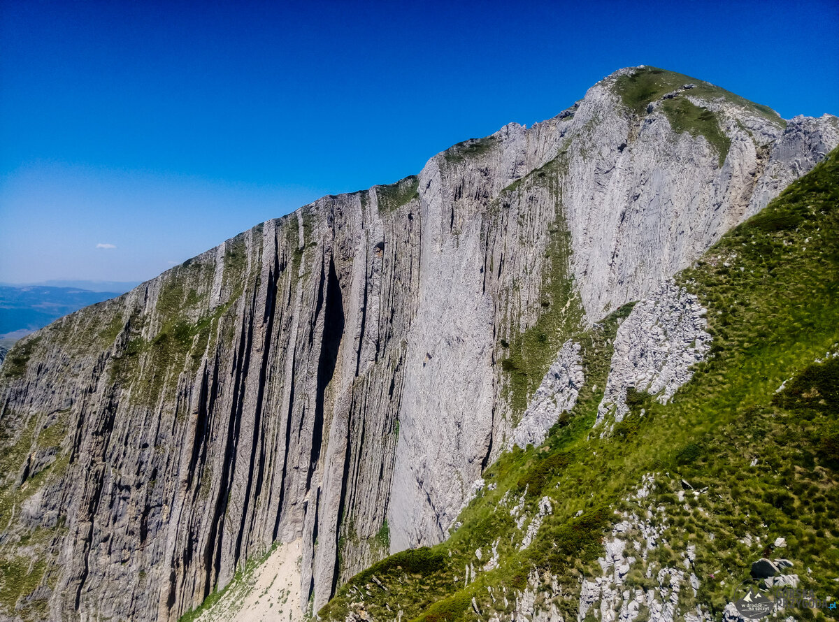 Prutaš, фото https://gorskaprzygoda.pl