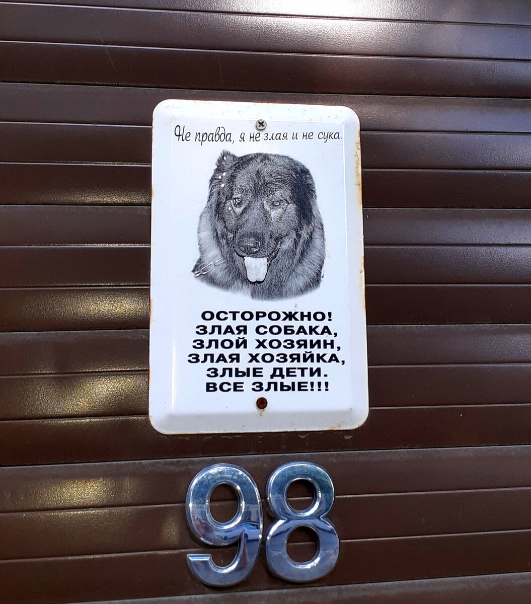 Осторожно! Злые все! Фото автора.