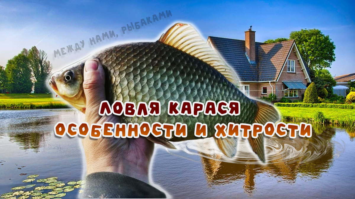 Ловля карася в московской области места карта