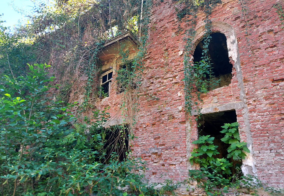 Фото автора статьи