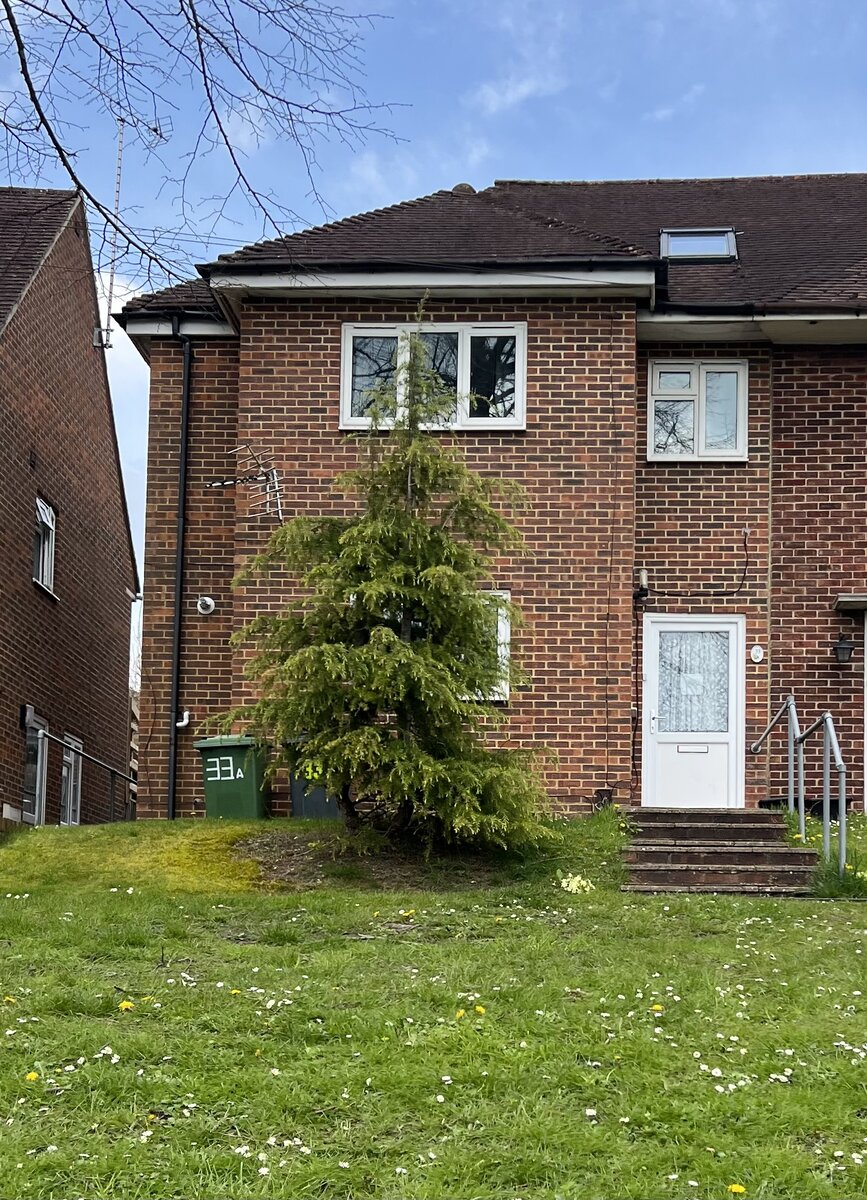 Это реальный дом, в котором живут студенты в Винчестере. Фотография из личного архива. 