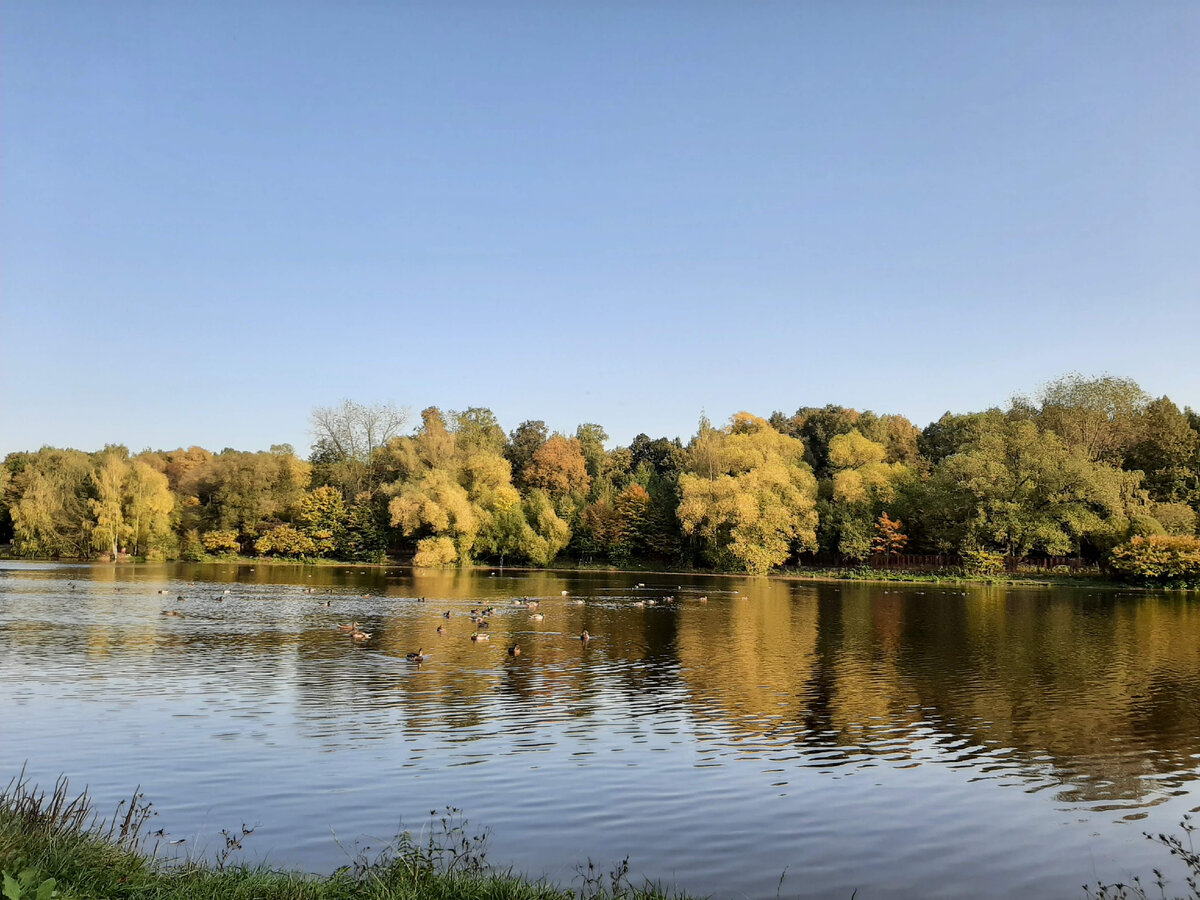 Моя фотография 