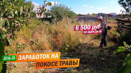 День 20 | 6 500 тыс. рублей за один день. Заработок на покосе травы триммером.