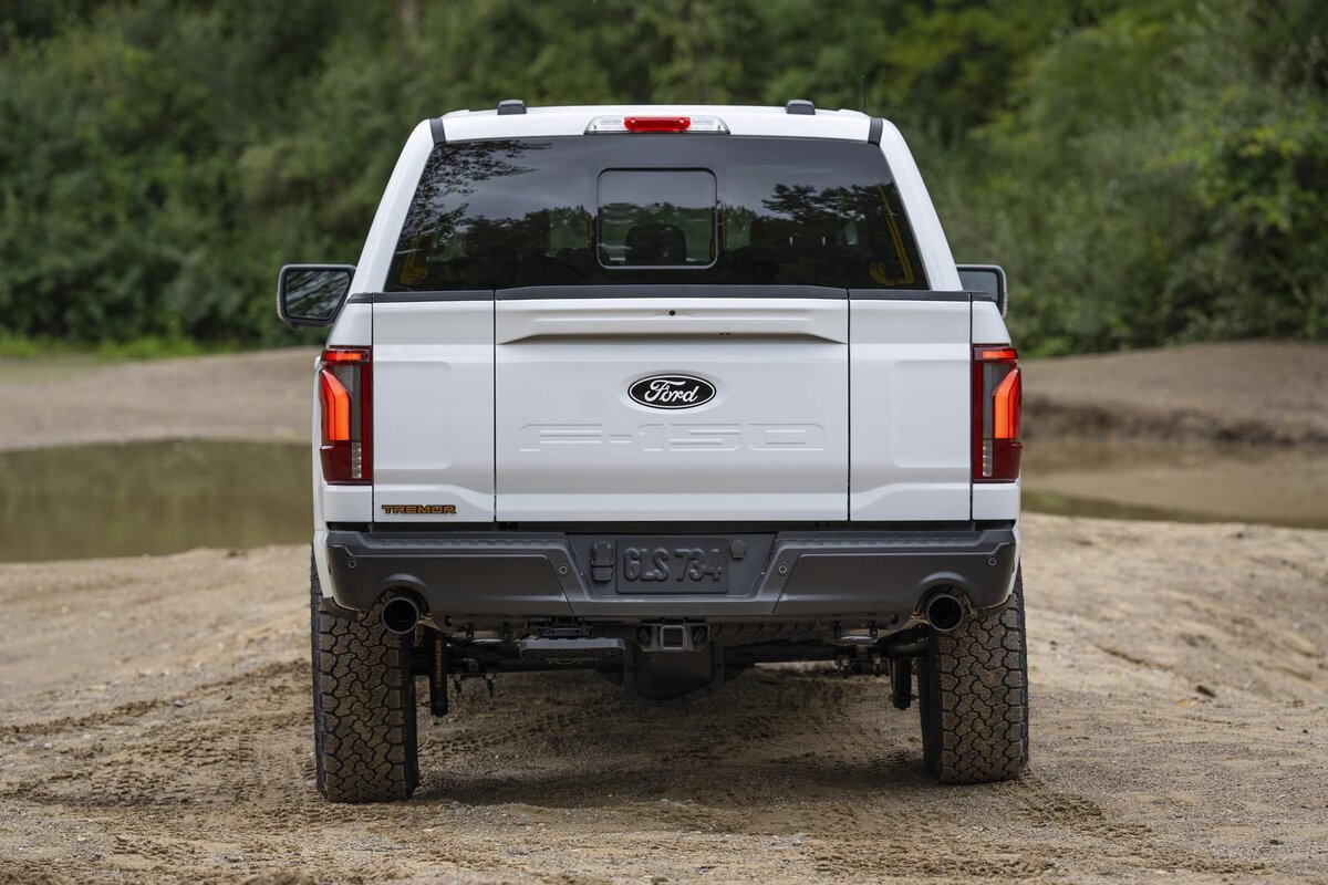 Источник фотографии: Ford