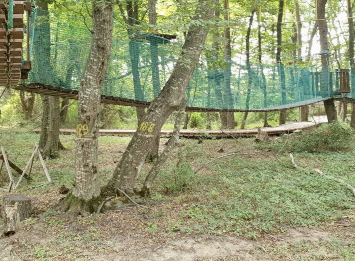    В Волгоградской области назвали дату отмены особого противопожарного режима