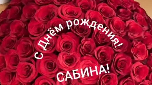 Сабина, от всей души поздравляю с днем рождения! Счастья и здоровья тебе и твоим близким.