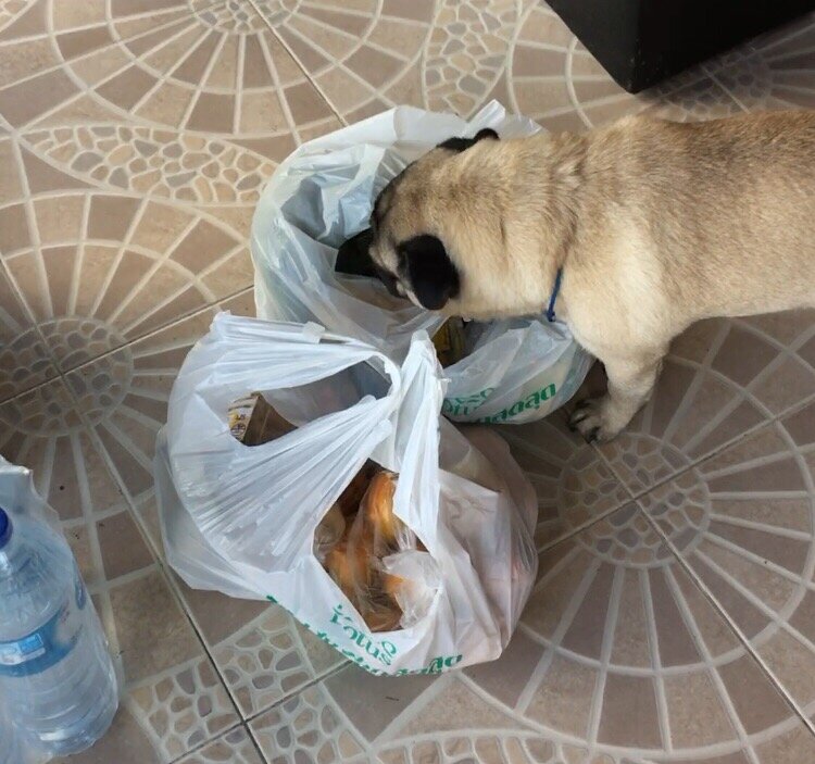 От меня ничего не утоишь