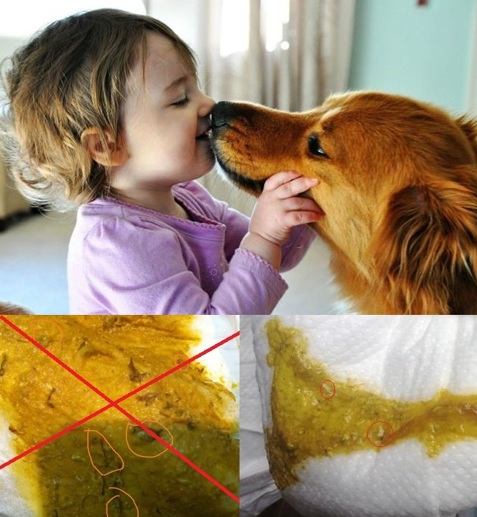 Как выявить что паразиты есть?   И какое решение этой проблемы?                                                                                   