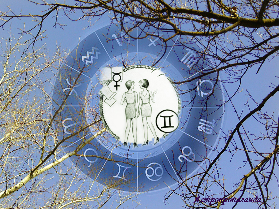 Коллаж Нины Стрелковой.