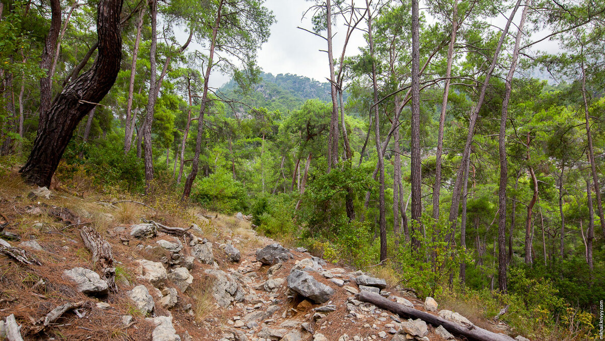 2. Сама тропа выглядит как-то так.